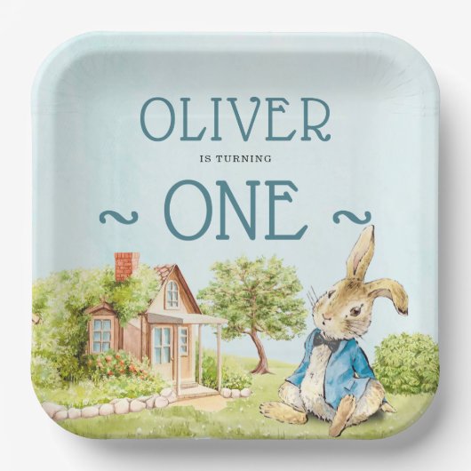 Assiettes En Carton Blue Peter Rabbit Garçon Premier anniversaire (Recto)
