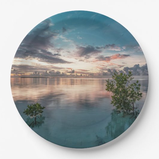 Assiettes En Carton blue sky with red and dark clouds reflected on sea (Devant)