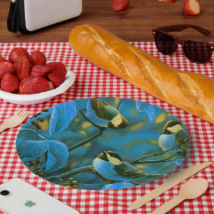 Assiettes En Carton Blue yellow little