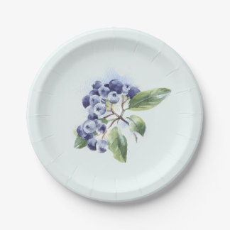 Assiettes En Carton Blueberge