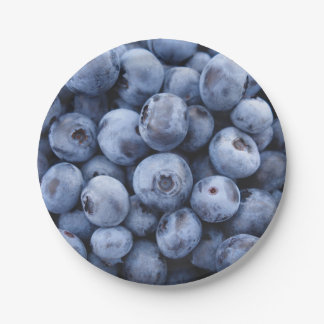 Assiettes En Carton Blueberges