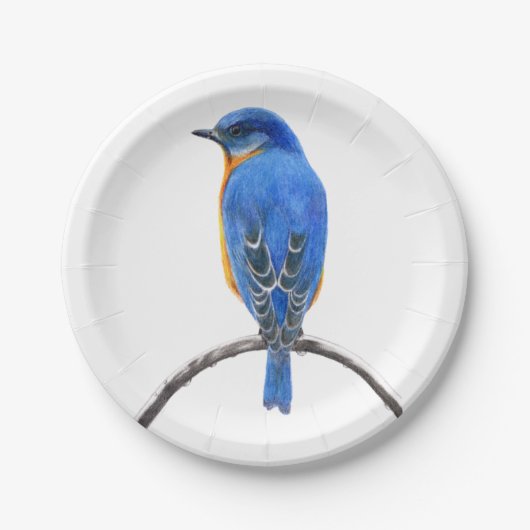 Assiettes En Carton Bluebird (Devant)
