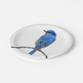 Assiettes En Carton Bluebird (Angle)