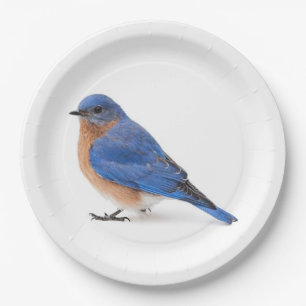 Assiettes En Carton Bluebird