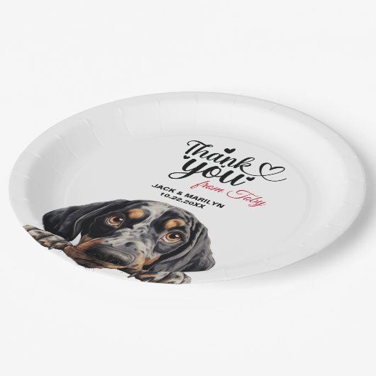 Assiettes En Carton Bluetick Coonhound (Angle)