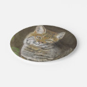 Assiettes En Carton Bobcat (Angle)