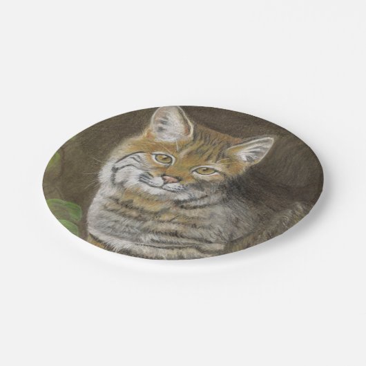 Assiettes En Carton Bobcat (Angle)