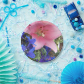 Assiettes En Carton Bodichon (Fête)