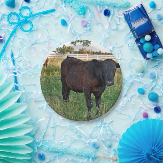 Assiettes En Carton Boeuf d'Angus dans les domaines verts (Fête)