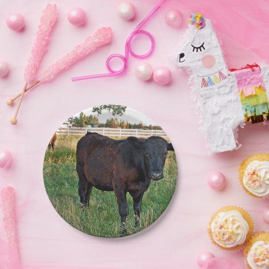 Assiettes En Carton Boeuf d'Angus dans les domaines verts (Fête)