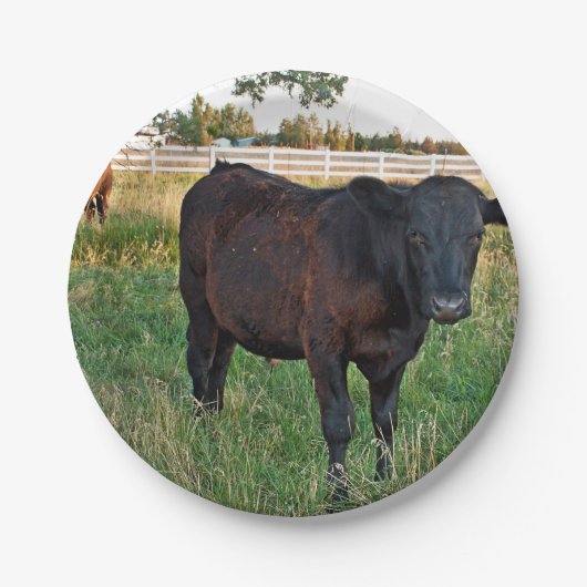 Assiettes En Carton Boeuf d'Angus dans les domaines verts (Devant)