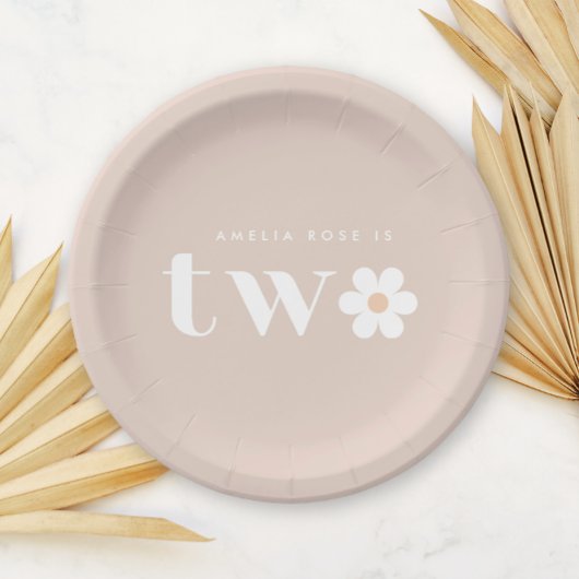 Assiettes En Carton Boho Daisy Plaques papier de deuxième anniversaire