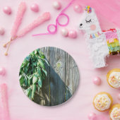 Assiettes En Carton Bois de Grange frais coupé (Fête)