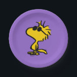 Assiettes En Carton Bois En Lunettes De Soleil<br><div class="desc">Ajoutez une vibe cool à votre fête avec ces plaques de papier amusantes avec Woodstock qui balancent une paire de lunettes de soleil élégantes. Parfait pour des réunions décontractées,  des anniversaires ou des événements extérieurs,  ce design ludique apporte une touche de charme et de personnalité arachides à votre table.</div>