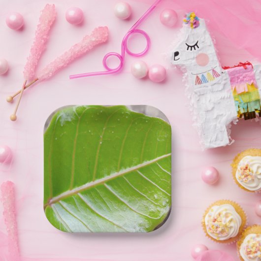 Assiettes En Carton Bol Carré papier avec conception feuille (Fête)