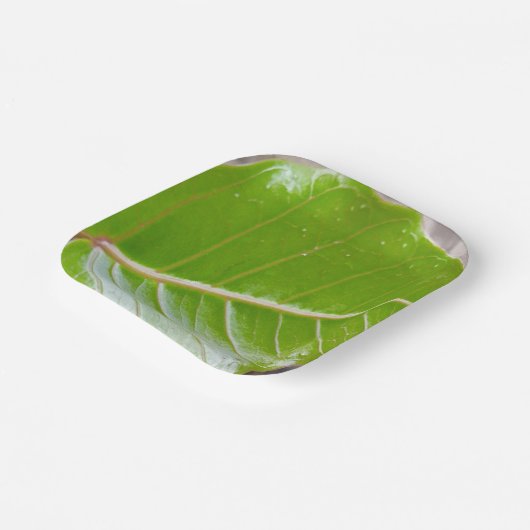 Assiettes En Carton Bol Carré papier avec conception feuille (Angulaire)