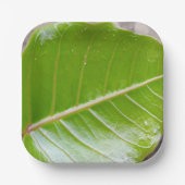 Assiettes En Carton Bol Carré papier avec conception feuille (Recto)