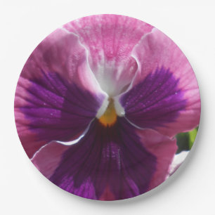 Assiettes En Carton Bonheur