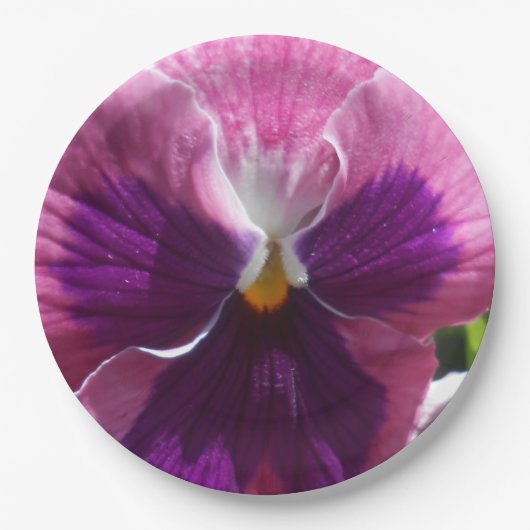 Assiettes En Carton Bonheur (Devant)