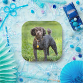 Assiettes En Carton BonJour (Fête)