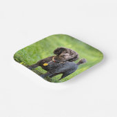 Assiettes En Carton BonJour (Angulaire)