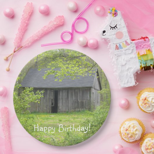 Assiettes En Carton Bonne fête d'anniversaire (Fête)