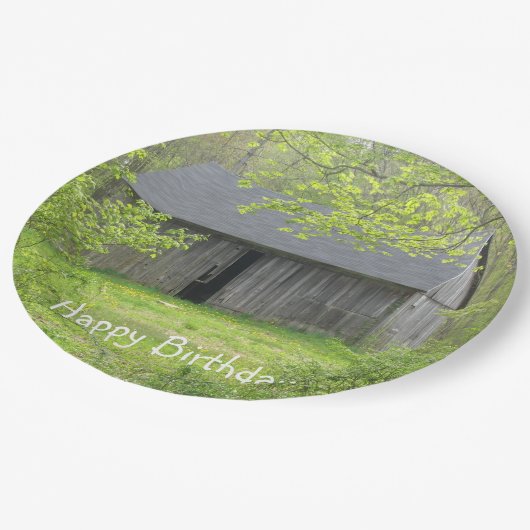 Assiettes En Carton Bonne fête d'anniversaire (Angle)