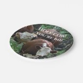 Assiettes En Carton Bonne vache d'anniversaire ! (Angle)