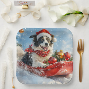 Assiettes En Carton Border Collie sur un traîneau Laissez neige Noël
