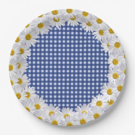 Assiettes En Carton Bordure Bleue Sur En vichy (Devant)
