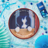 Assiettes En Carton Bordure Collie Chien Chien Chien Art Personnalisé  (Fête)