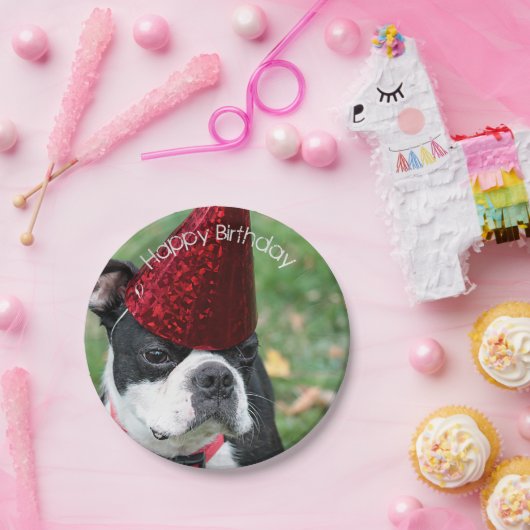 Assiettes En Carton Boston Terrier (Fête)