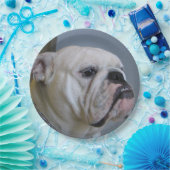 Assiettes En Carton bouledogue blanc (Fête)