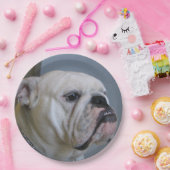Assiettes En Carton bouledogue blanc (Fête)