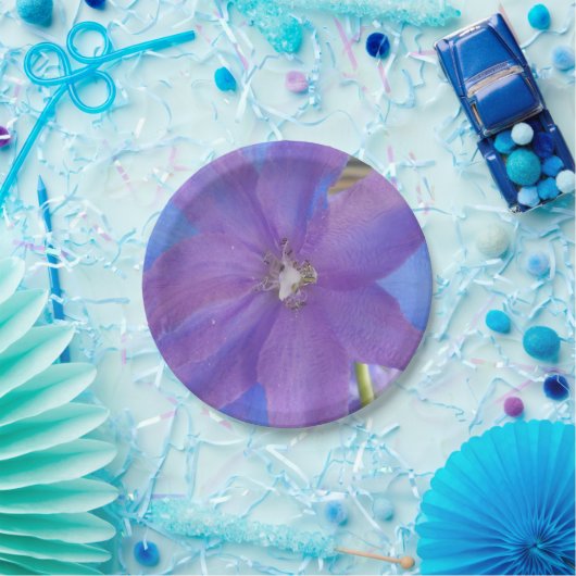 Assiettes En Carton Bowen (Fête)