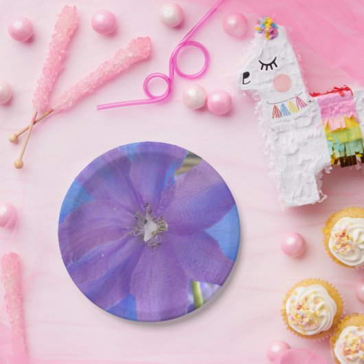 Assiettes En Carton Bowen (Fête)