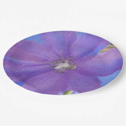 Assiettes En Carton Bowen (Angle)