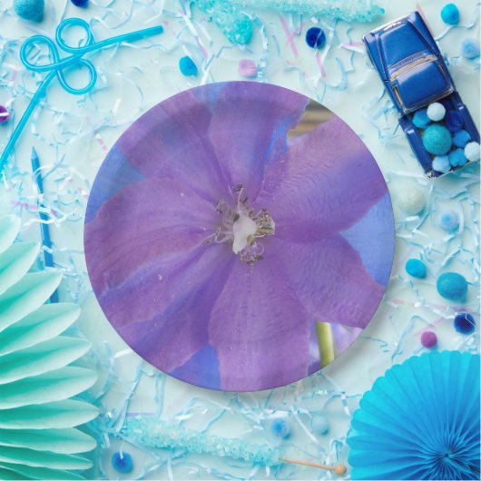 Assiettes En Carton Bowen (Fête)