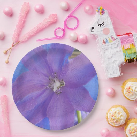 Assiettes En Carton Bowen (Fête)