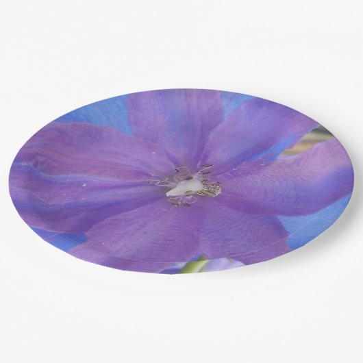 Assiettes En Carton Bowen (Angle)