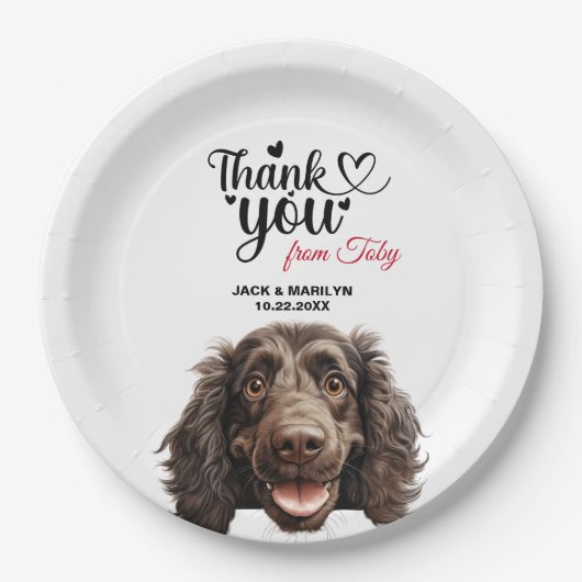 Assiettes En Carton Boykin Spaniel chien Mariage Réception (Devant)