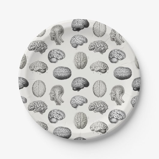 Assiettes En Carton Brain Anatomy Biology Illustrations (Devant)