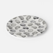 Assiettes En Carton Brain Anatomy Biology Illustrations (Angle)