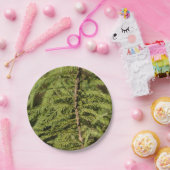 Assiettes En Carton Branche Cypress Bald (Fête)