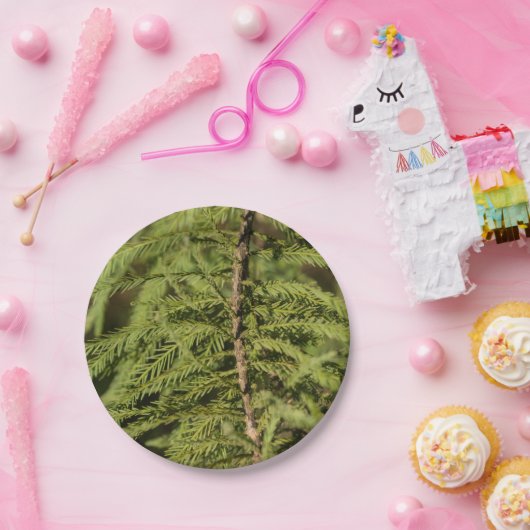 Assiettes En Carton Branche Cypress Bald (Fête)