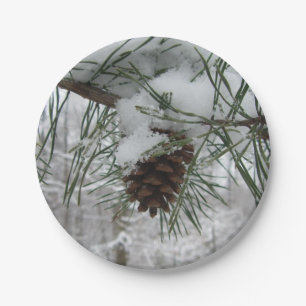 Assiettes En Carton Branche des pins neigeux Photographie de la nature