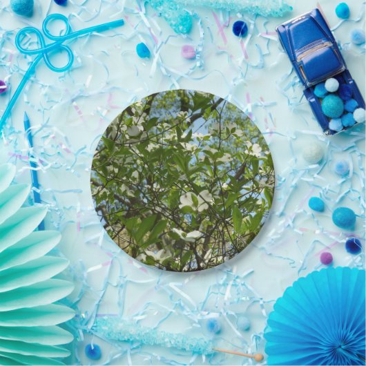 Assiettes En Carton Branche of Dogwood Blossoms Spring Trees (Fête)