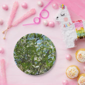 Assiettes En Carton Branche of Dogwood Blossoms Spring Trees (Fête)