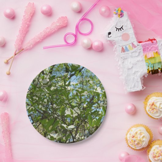 Assiettes En Carton Branche of Dogwood Blossoms Spring Trees (Fête)