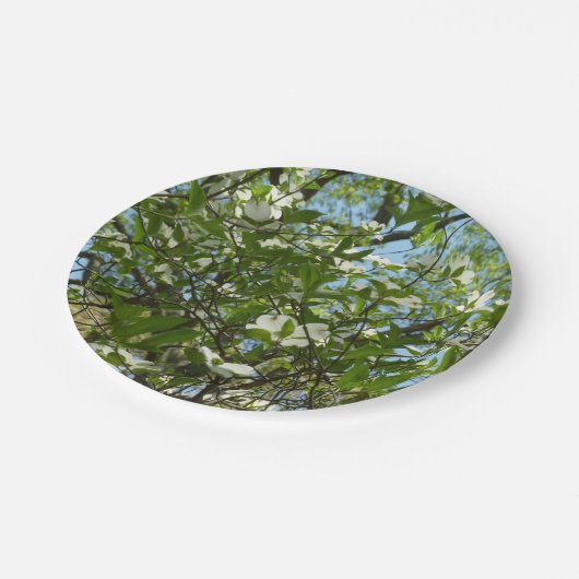 Assiettes En Carton Branche of Dogwood Blossoms Spring Trees (Angle)